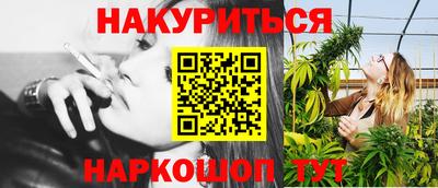 Альфа ПВП Малгобек