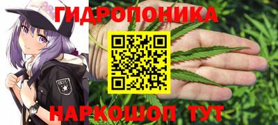 гашик Мариинск